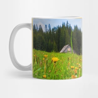 old house in the meadow Mug